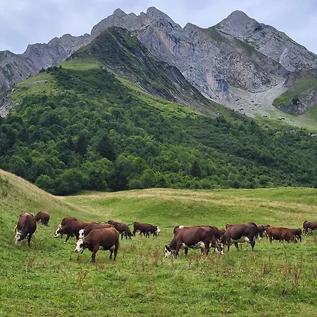 Cosy Face Aux Aravis